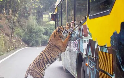 Screen Shot 2018 03 12 At 12.24.16 Am