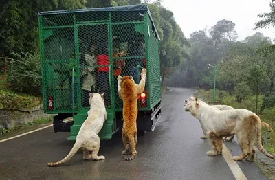 Screen Shot 2018 03 12 At 12.26.42 Am