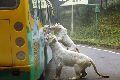 Screen Shot 2018 03 12 At 12.27.42 Am