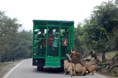 Screen Shot 2018 03 12 At 12.31.19 Am