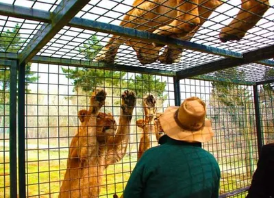 Screen Shot 2018 03 12 At 12.32.50 Am