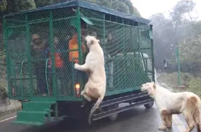 Screen Shot 2018 03 12 At 12.34.35 Am