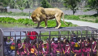 Screen Shot 2018 03 12 At 12.37.19 Am