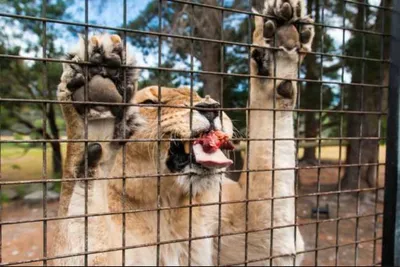 Screen Shot 2018 03 12 At 12.39.34 Am