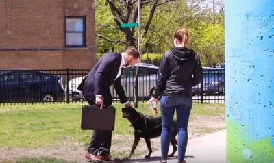 Screen Shot 2018 03 23 At 5.31.36 Pm