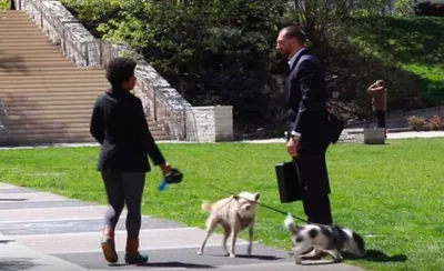 Screen Shot 2018 03 23 At 5.32.00 Pm