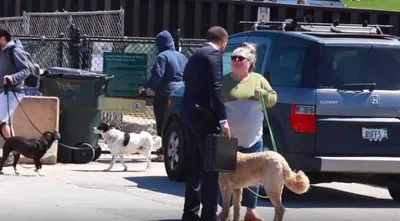 Screen Shot 2018 03 23 At 5.33.38 Pm