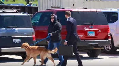 Screen Shot 2018 03 23 At 5.34.24 Pm