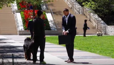 Screen Shot 2018 03 23 At 5.35.02 Pm