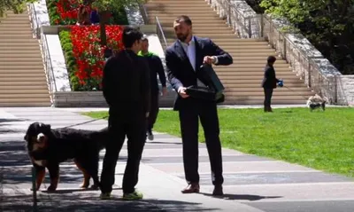 Screen Shot 2018 03 23 At 5.35.53 Pm