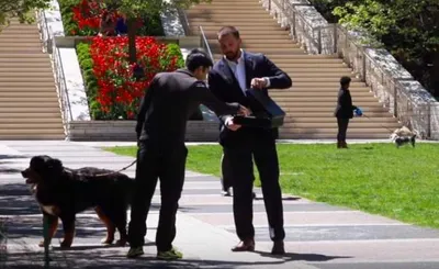 Screen Shot 2018 03 23 At 5.36.21 Pm