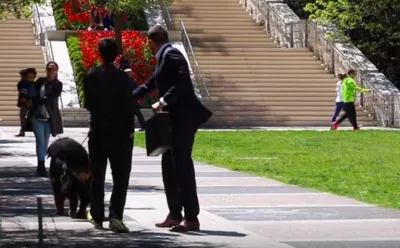 Screen Shot 2018 03 23 At 5.37.45 Pm