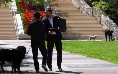 Screen Shot 2018 03 23 At 5.37.55 Pm