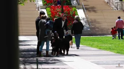 Screen Shot 2018 03 23 At 5.40.31 Pm