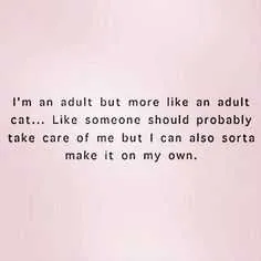 Funny Quotes About Life Adult