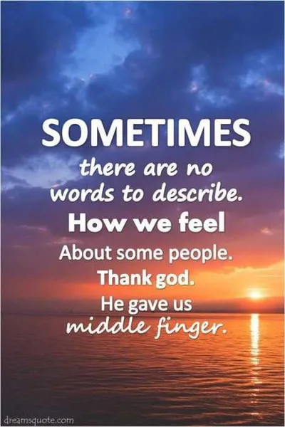 Funny Quotes About Life Middle Finger