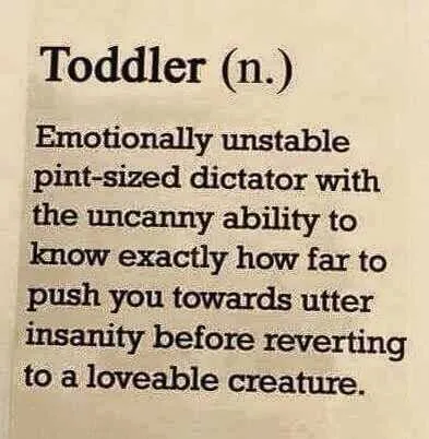 Funny Quote About Life Toddler