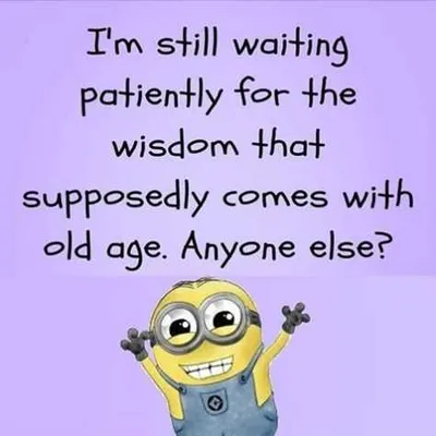 Funny Minion Quotes About Life Wisdom