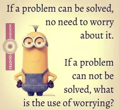 Funny Minion Quotes About Life Problems