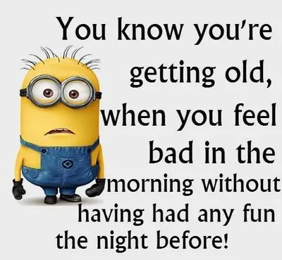 Funny Minion Quotes About Life Getting Old