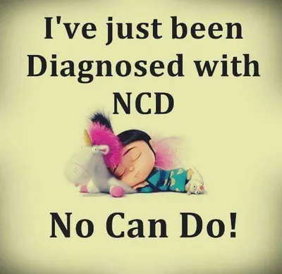 Hilarious Minion Quotes With Attitude  No Can Do