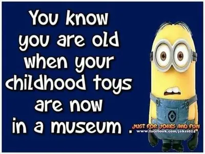 Funny Minion Quotes About Life Aging