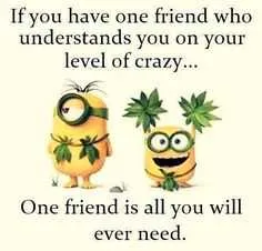 Minion One Friend All