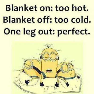 Hilarious Minion Quotes With Attitude  Blanket Struggles