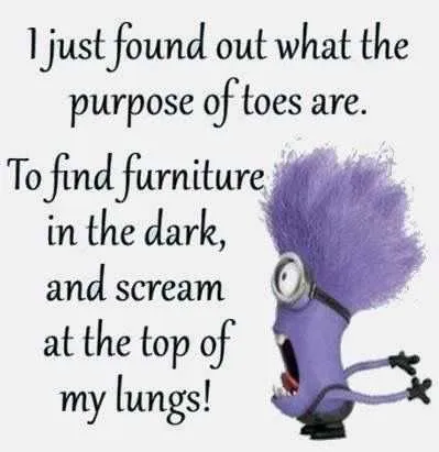 Funny Minion Quotes About Life Toes