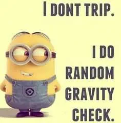 Minion Random Gravity Check