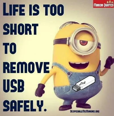 Funny Minion Quotes About Life Usb