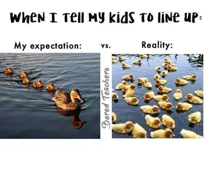 Funny Teacher Meme  Lining Up In Funnel Formation