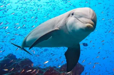 Screen Shot 2018 04 01 At 12.25.17 Pm