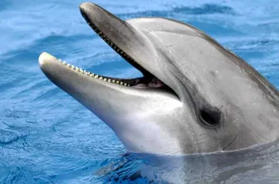 Screen Shot 2018 04 01 At 12.26.43 Pm