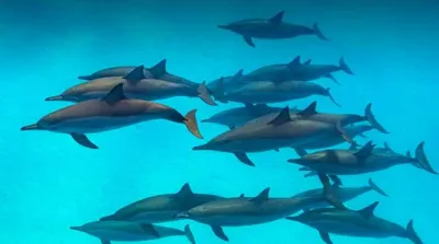 Screen Shot 2018 04 01 At 12.27.40 Pm