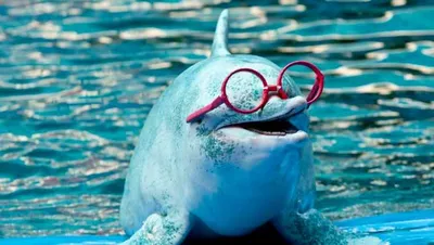 Screen Shot 2018 04 01 At 12.29.01 Pm