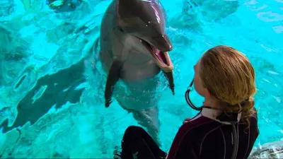 Screen Shot 2018 04 01 At 12.29.55 Pm