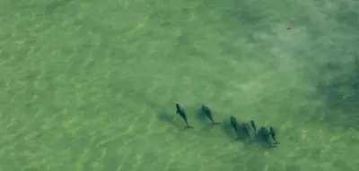 Screen Shot 2018 04 01 At 12.33.18 Pm 1