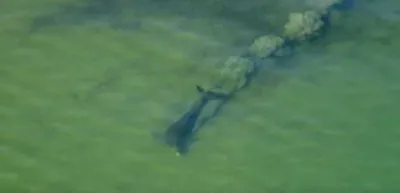 Screen Shot 2018 04 01 At 12.36.20 Pm