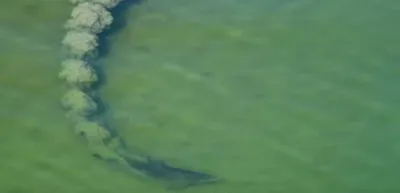 Screen Shot 2018 04 01 At 12.37.05 Pm