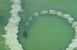 Screen Shot 2018 04 01 At 12.37.55 Pm