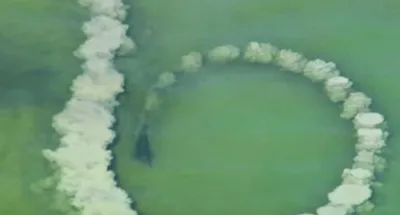 Screen Shot 2018 04 01 At 12.37.55 Pm