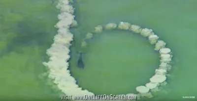 Screen Shot 2018 04 01 At 12.38.56 Pm