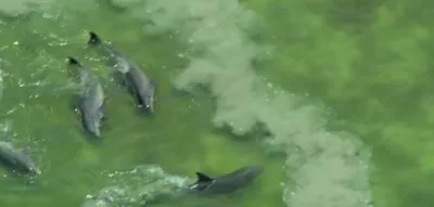 Screen Shot 2018 04 01 At 12.40.41 Pm