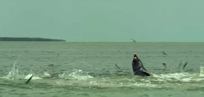 Screen Shot 2018 04 01 At 12.42.09 Pm