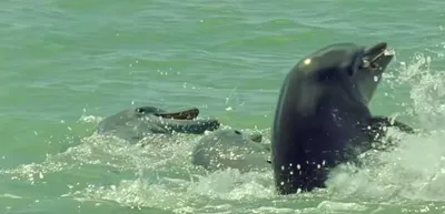 Screen Shot 2018 04 01 At 12.42.59 Pm