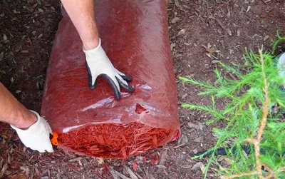 Screen Shot 2018 04 07 At 2.32.52 Pm