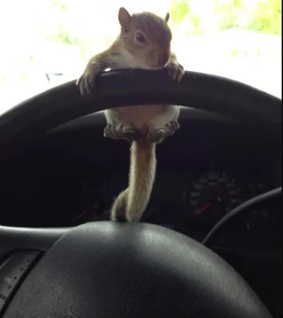 Screen Shot 2018 04 07 At 2.41.13 Pm