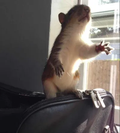 Screen Shot 2018 04 07 At 2.43.42 Pm