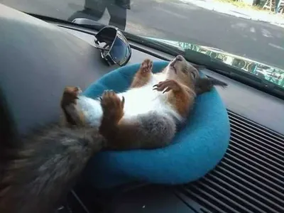 Screen Shot 2018 04 07 At 2.47.54 Pm